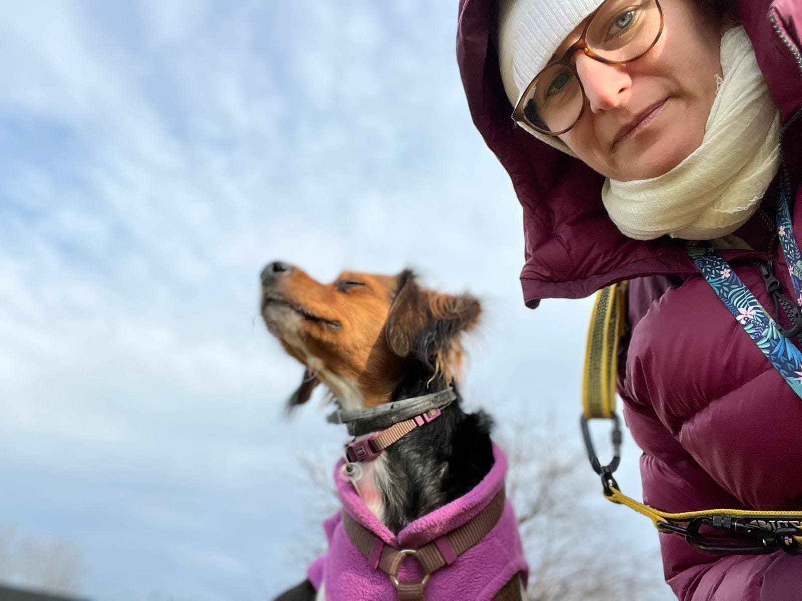 Pacchetto 5 uscite Dogsitting